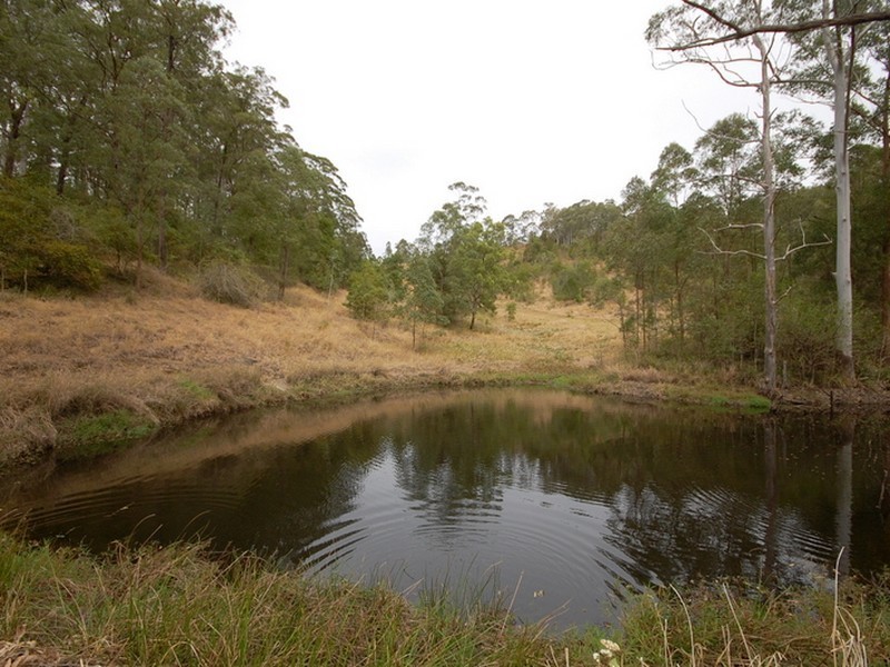 Strathcedar NSW 2429
