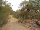 Strathcedar NSW 2429