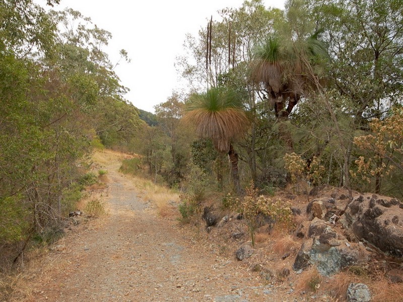 Strathcedar NSW 2429