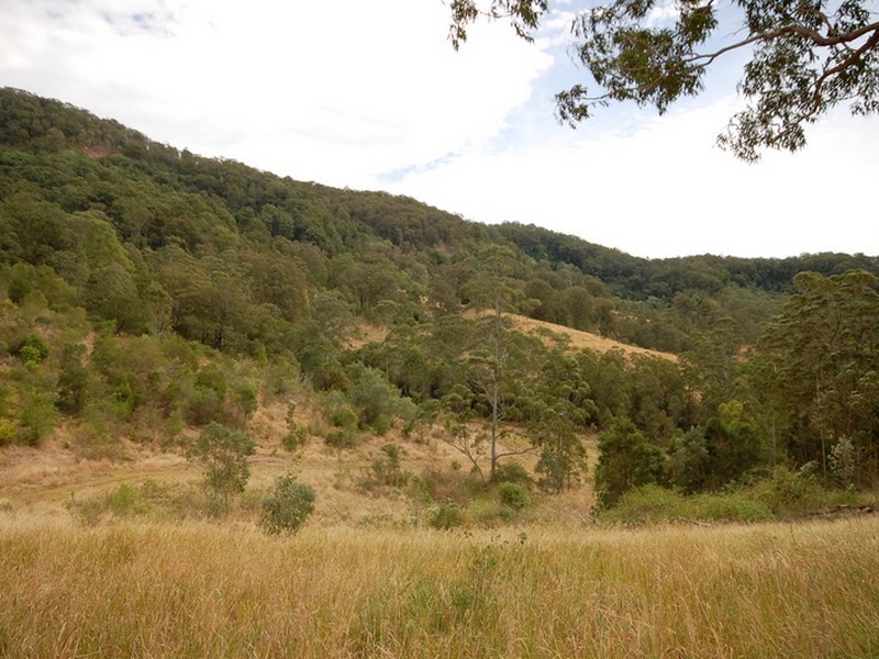 Strathcedar NSW 2429