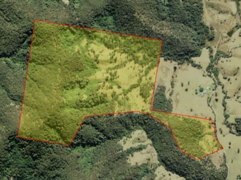 Strathcedar NSW 2429