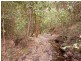 Strathcedar NSW 2429