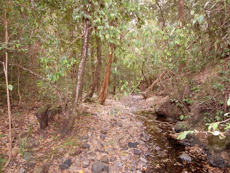 Strathcedar NSW 2429