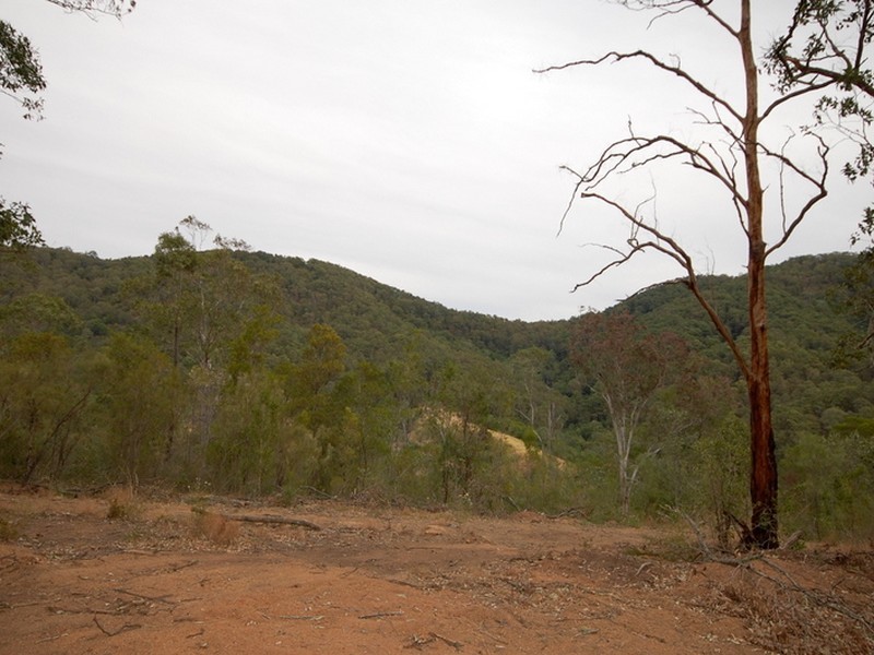 Strathcedar NSW 2429