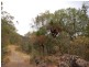 Strathcedar NSW 2429