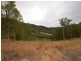 Strathcedar NSW 2429