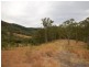 Strathcedar NSW 2429