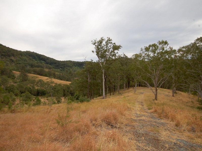 Strathcedar NSW 2429
