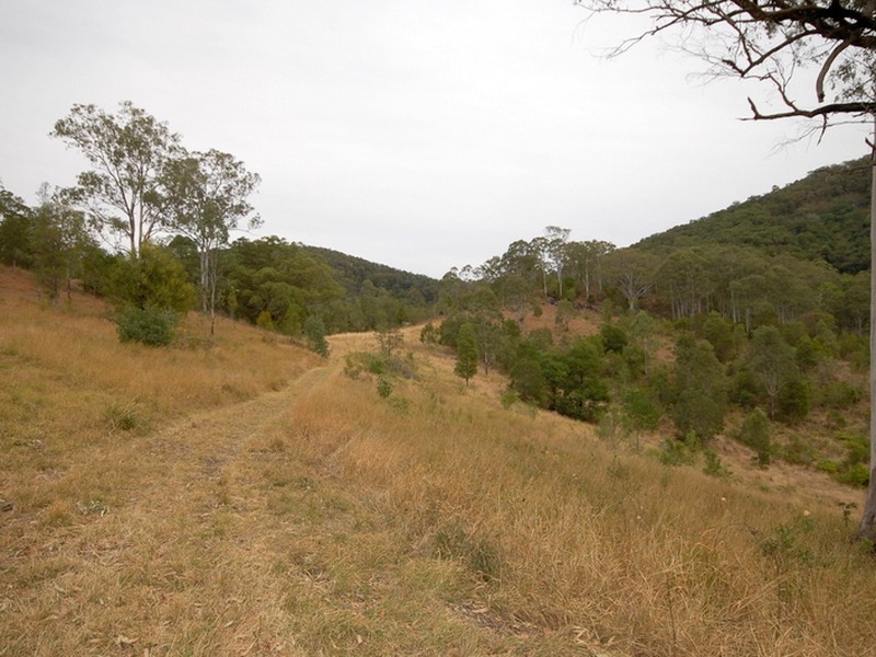 Strathcedar NSW 2429
