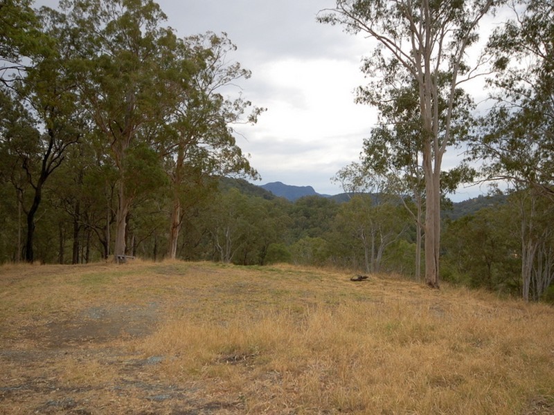 Strathcedar NSW 2429
