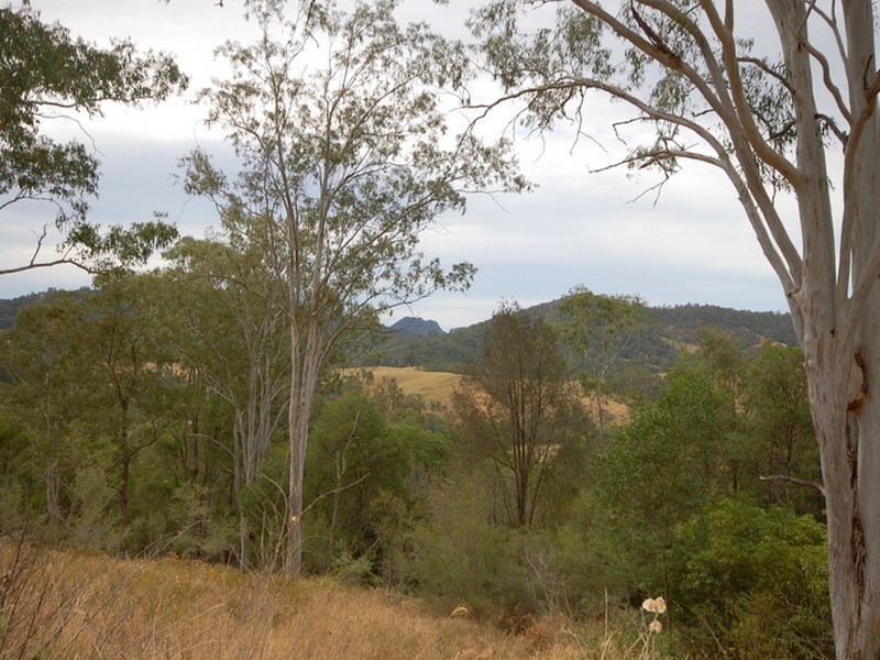 Strathcedar NSW 2429