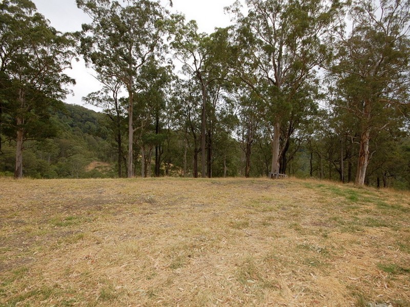 Strathcedar NSW 2429