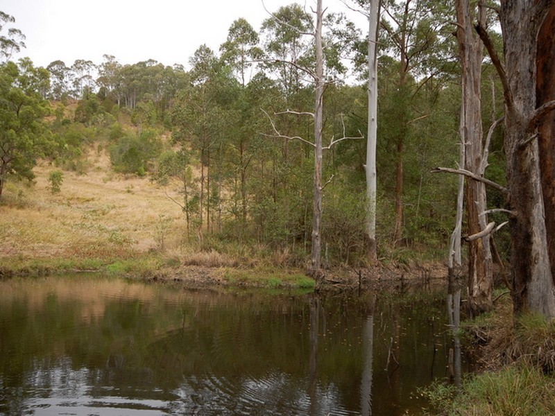 Strathcedar NSW 2429
