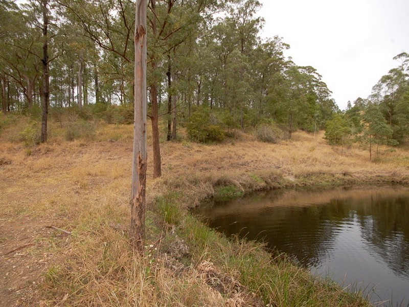 Strathcedar NSW 2429