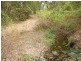 Strathcedar NSW 2429