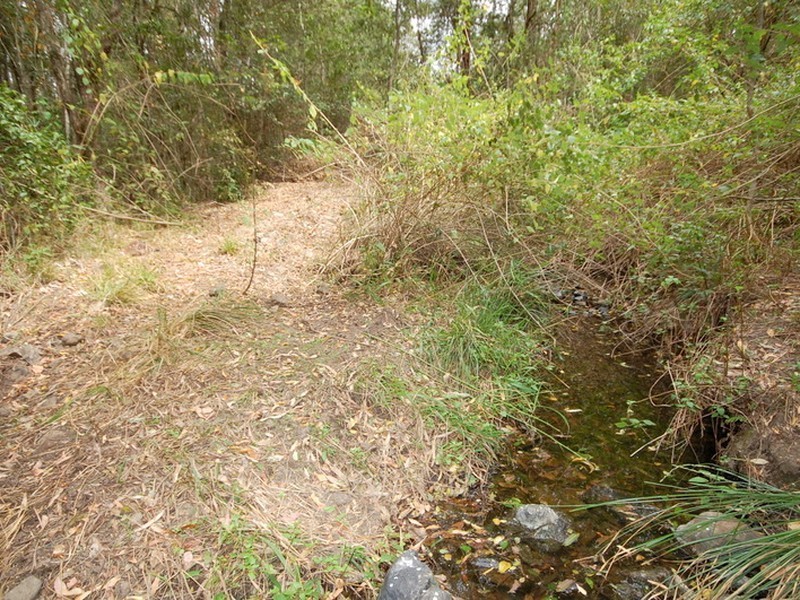 Strathcedar NSW 2429