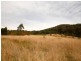 Strathcedar NSW 2429