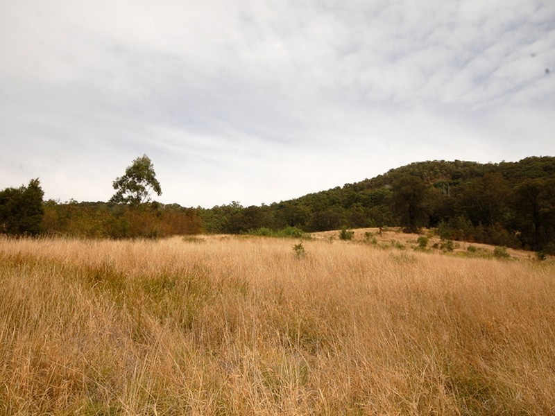 Strathcedar NSW 2429