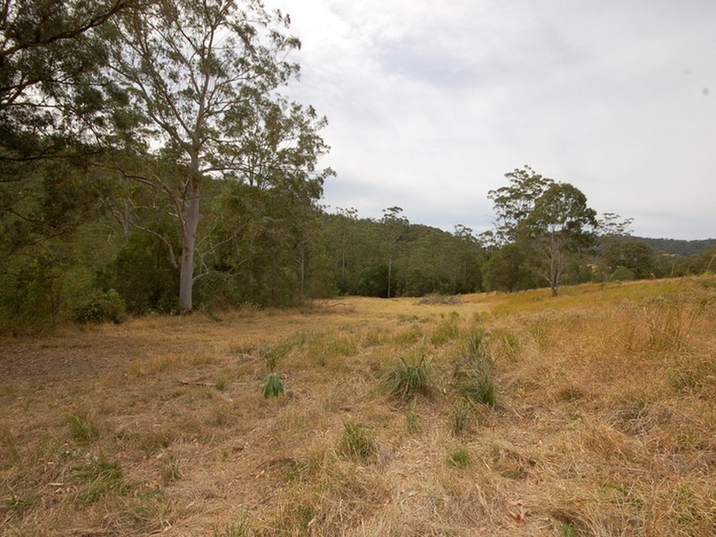 Strathcedar NSW 2429