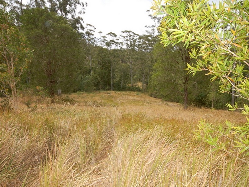 Strathcedar NSW 2429