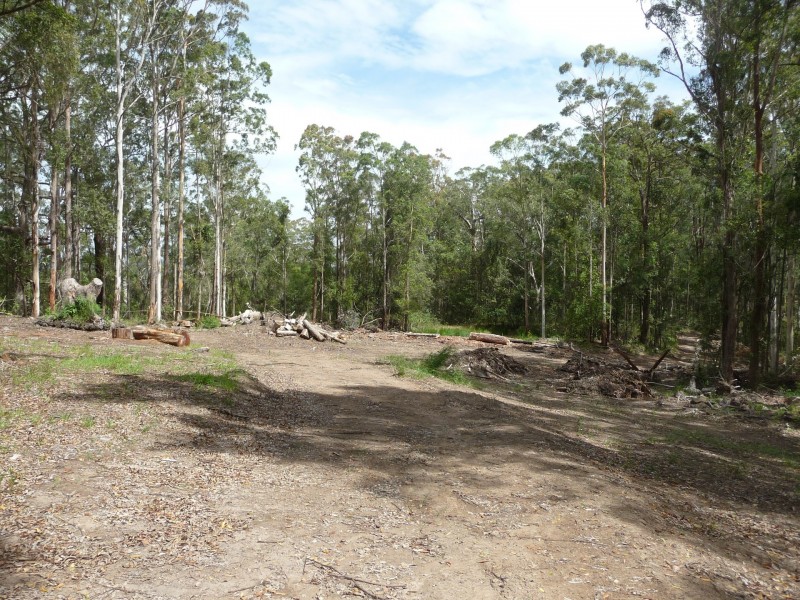 Kendall NSW 2439