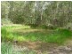 Kendall NSW 2439