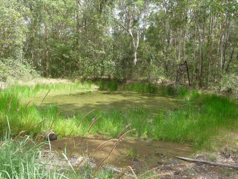 Kendall NSW 2439