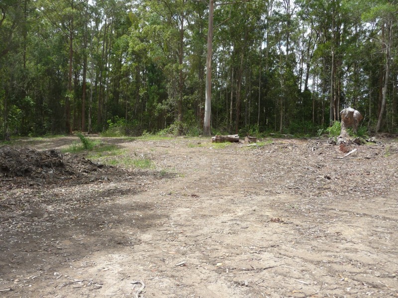 Kendall NSW 2439