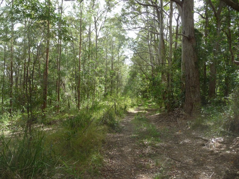 Kendall NSW 2439