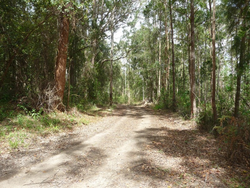 Kendall NSW 2439