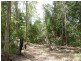 Kendall NSW 2439