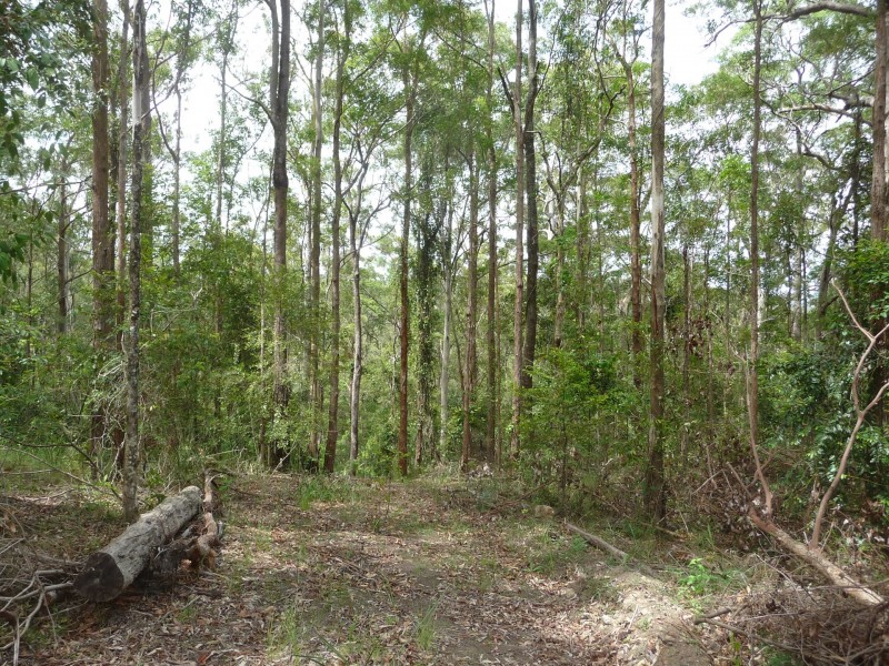 Kendall NSW 2439