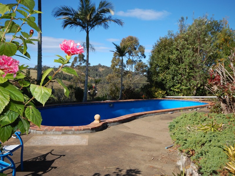 4543 The Bucketts Way, Kundibakh NSW 2429