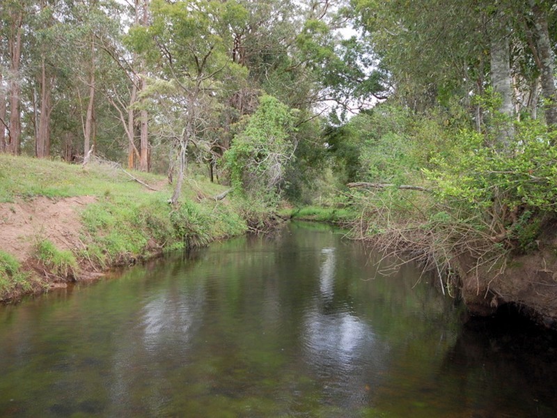 Wingham NSW 2429