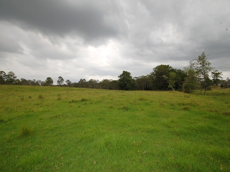Wingham NSW 2429