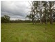 Wingham NSW 2429