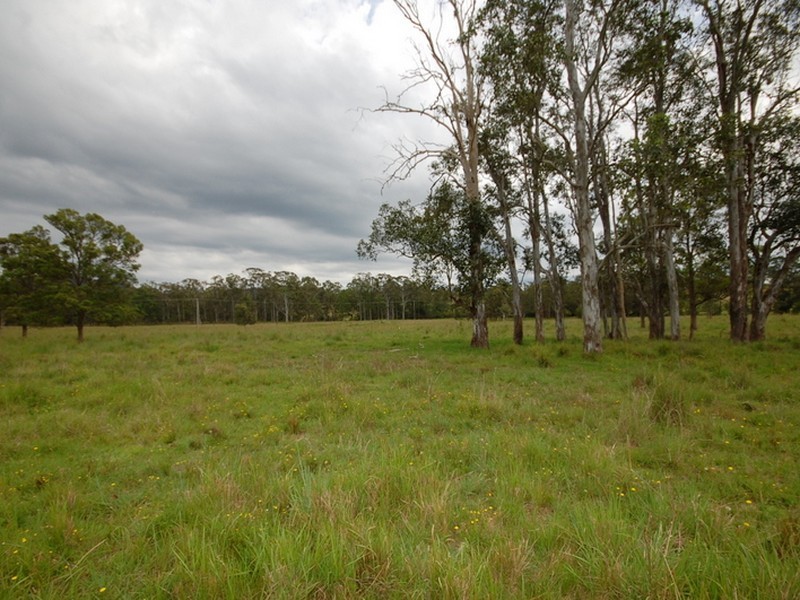 Wingham NSW 2429