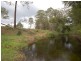 Wingham NSW 2429