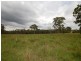Wingham NSW 2429