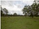 Wingham NSW 2429