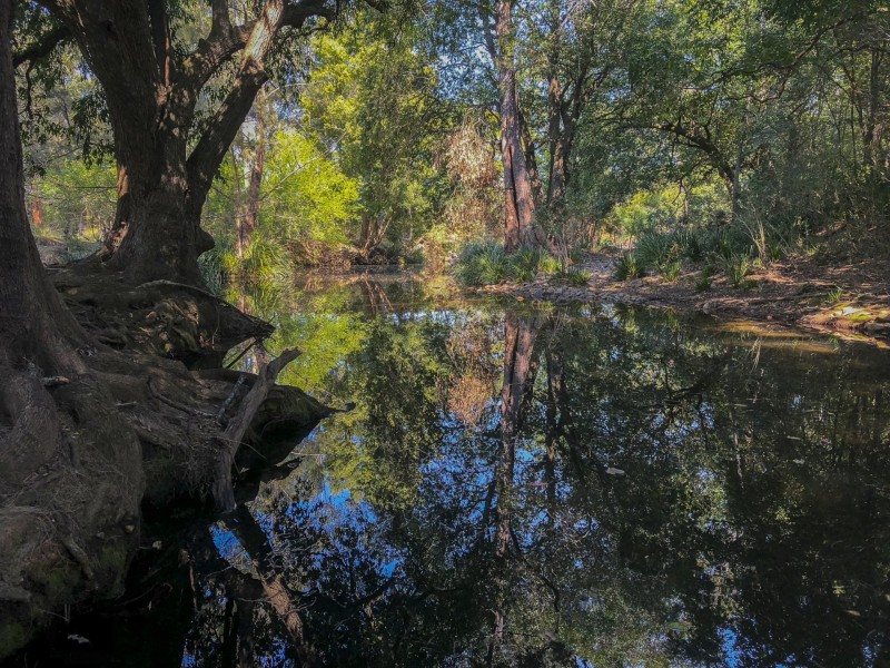 1267 Wherrol Flat Road, Wherrol Flat, Wingham NSW 2429