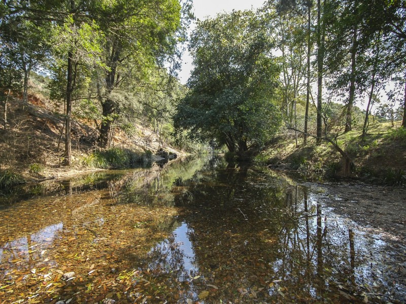 1267 Wherrol Flat Road, Wherrol Flat, Wingham NSW 2429