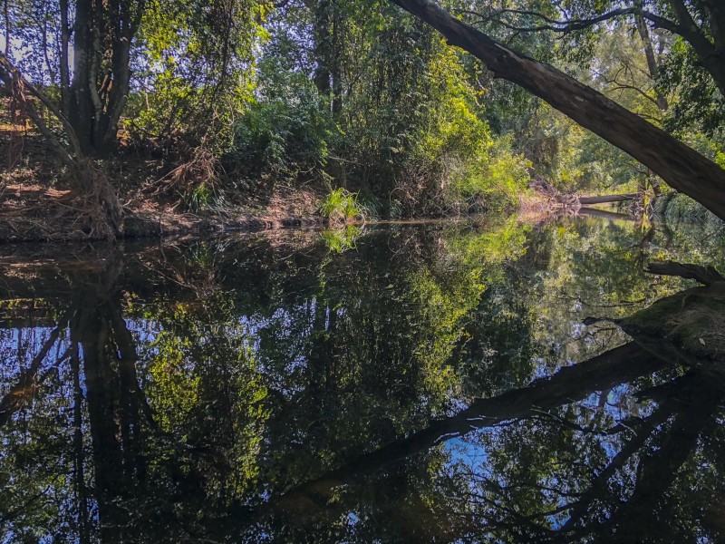 1267 Wherrol Flat Road, Wherrol Flat, Wingham NSW 2429