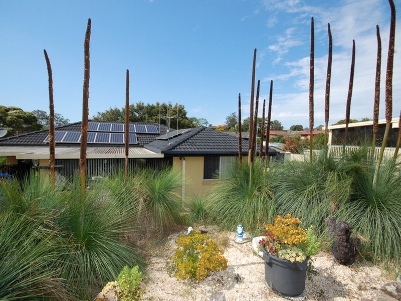 8 Stockyard Circuit, Wingham NSW 2429