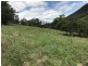 424 Paddock Creek Road, Caffreys Flat via, Wingham NSW 2429