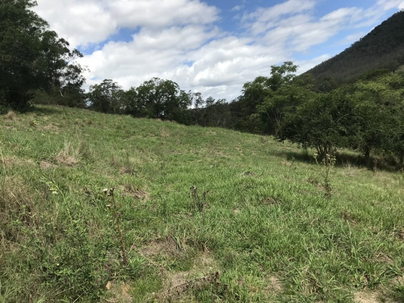 424 Paddock Creek Road, Caffreys Flat via, Wingham NSW 2429