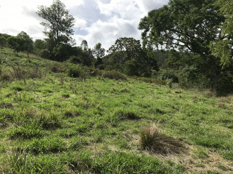 424 Paddock Creek Road, Caffreys Flat via, Wingham NSW 2429