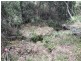 424 Paddock Creek Road, Caffreys Flat via, Wingham NSW 2429