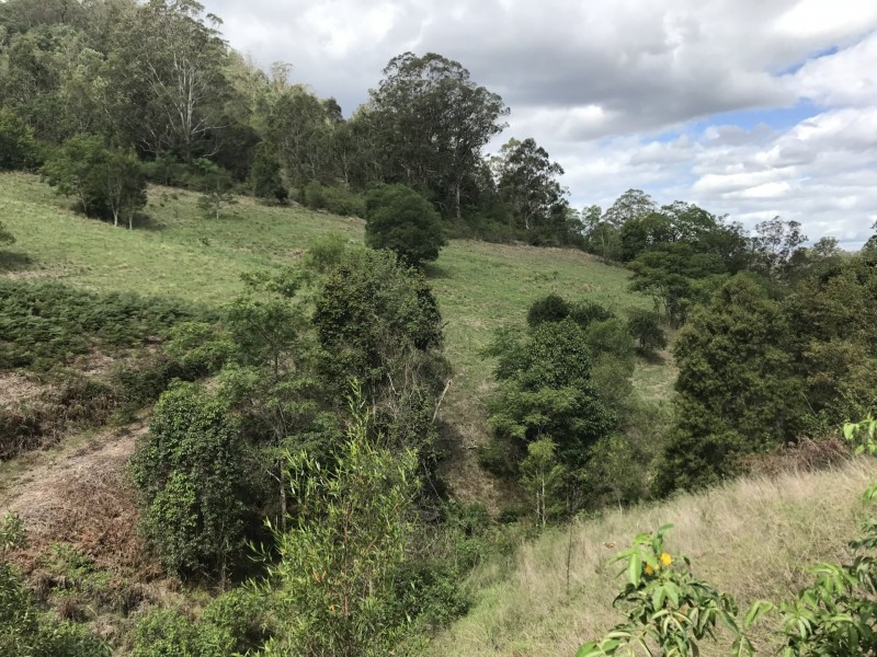 424 Paddock Creek Road, Caffreys Flat via, Wingham NSW 2429