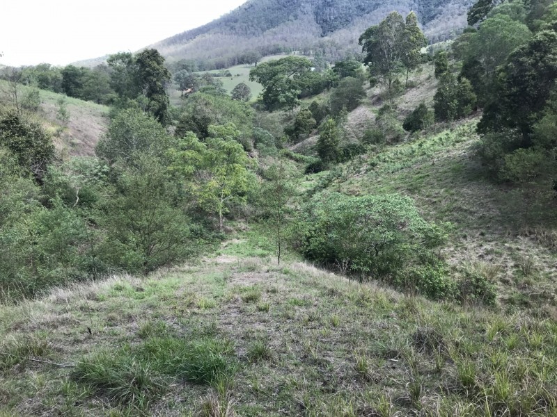 424 Paddock Creek Road, Caffreys Flat via, Wingham NSW 2429